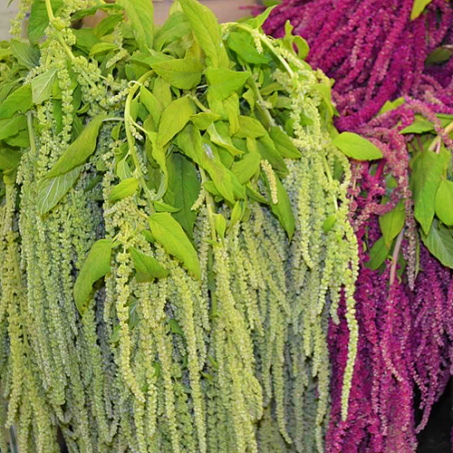 Bleeding love Green (2)