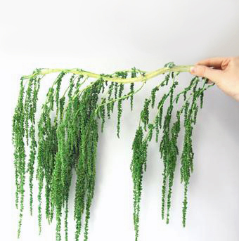 Bleeding love Green (4)