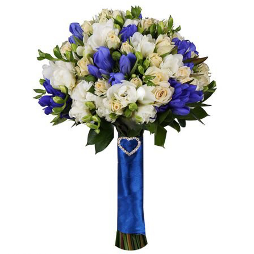 Gentiana Blue Sky (2)