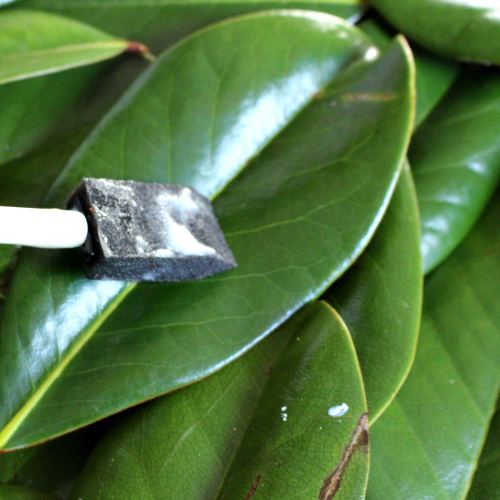 Magnolia Leave Inspiration (1)