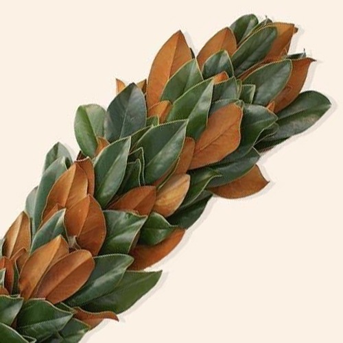 Magnolia Leave Inspiration (2)